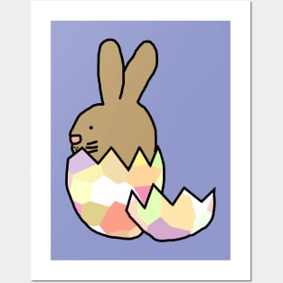 Bunny Rabbit Hatching from Easter Egg Posters and Art